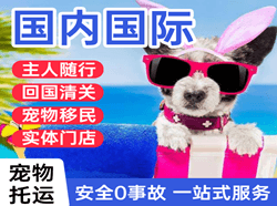 西昌空运公司国际宠物托运 【国